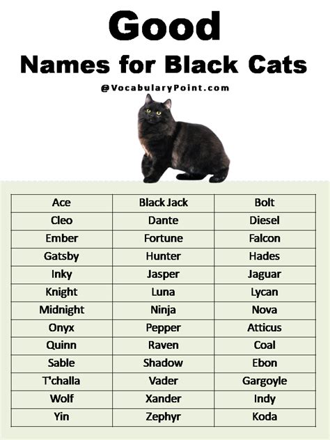 black female cat names